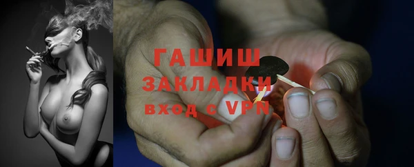 стаф Абаза
