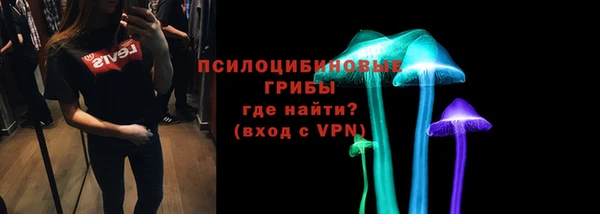 стаф Абаза