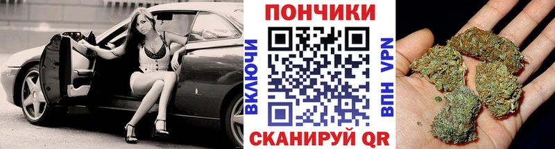 Шишки марихуана планчик  мега как зайти  Ужур 